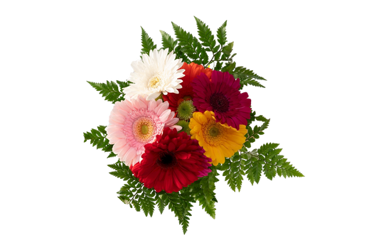Gerbera Bouquet