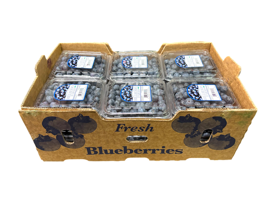 Blueberries - 12x1pt - USA