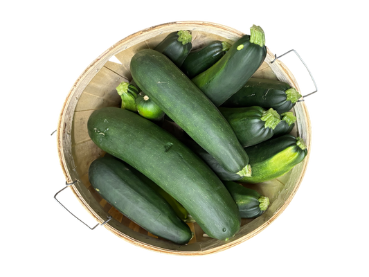 Local Zucchini - Bulk