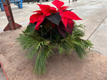 Load image into Gallery viewer, Poinsettia in decorative pots

