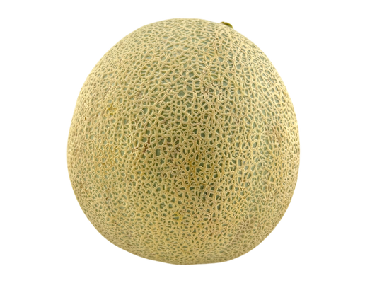 Cantaloupe