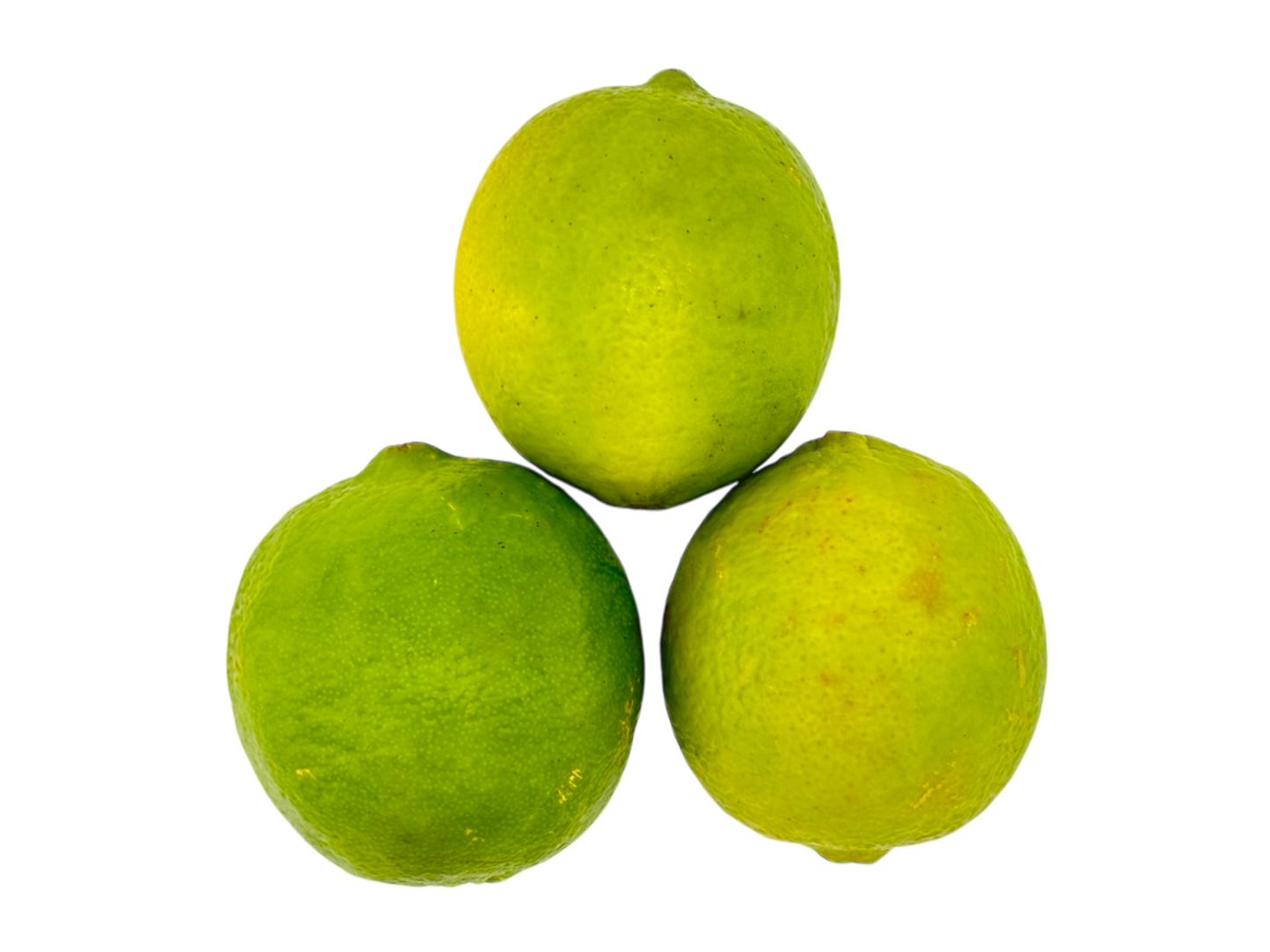 Limes