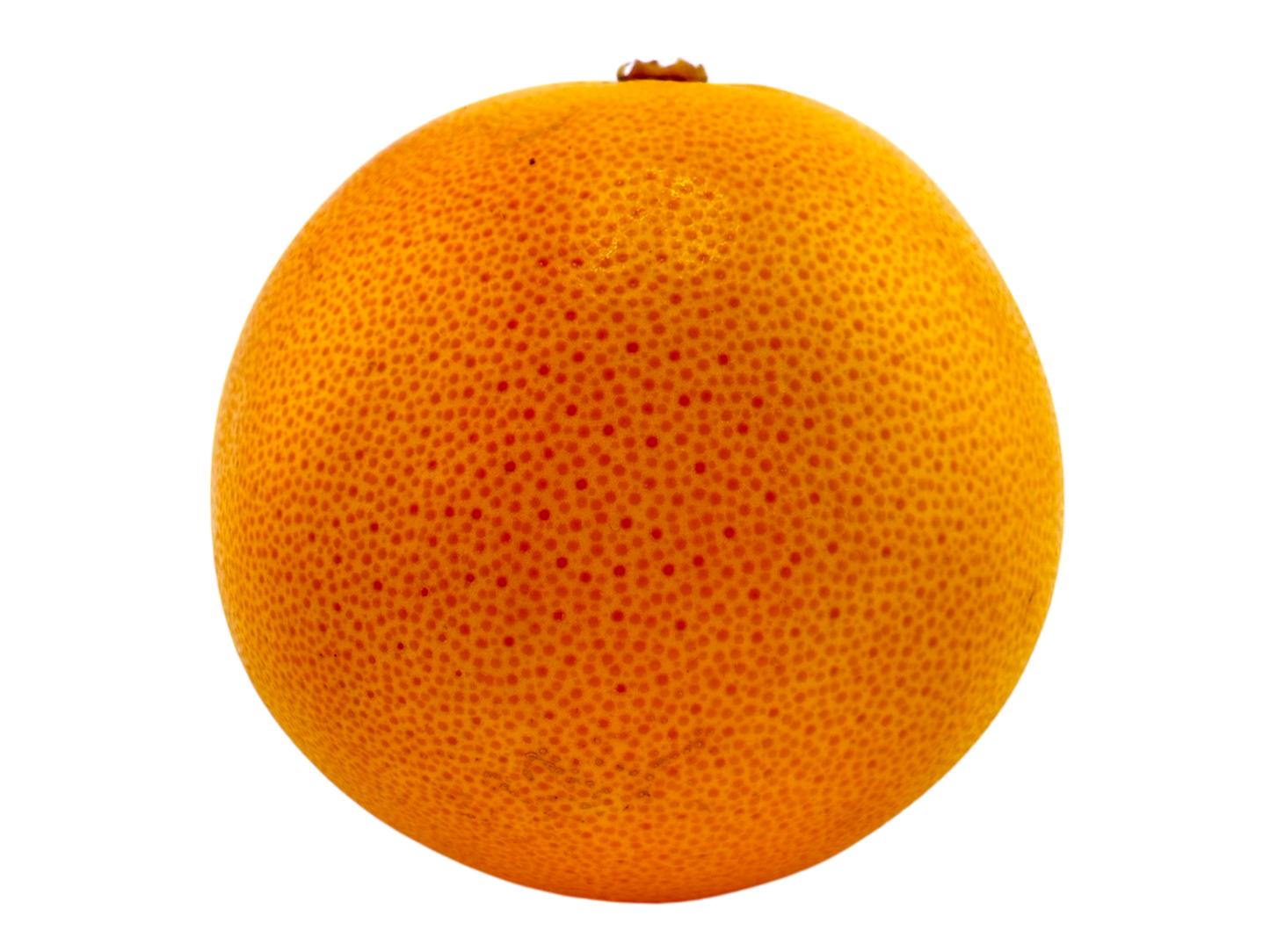 Grapefruit - Medium Sized