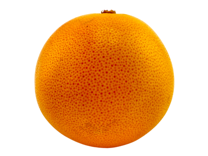 Grapefruit - Medium Sized