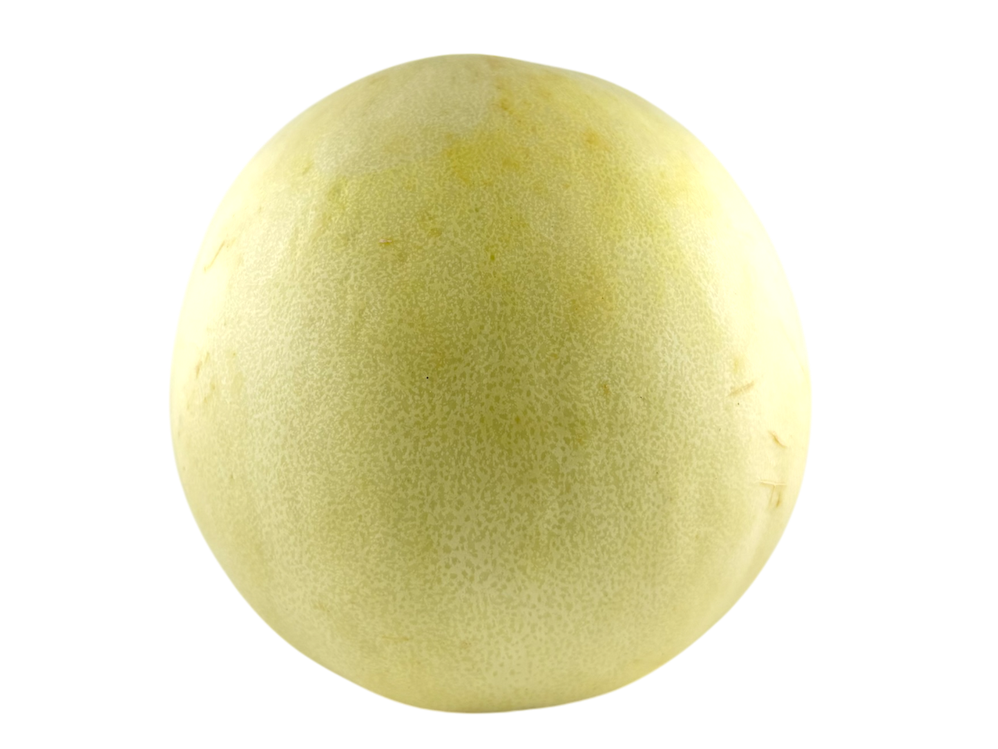 Large Honeydew Melon