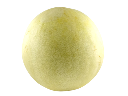 Large Honeydew Melon