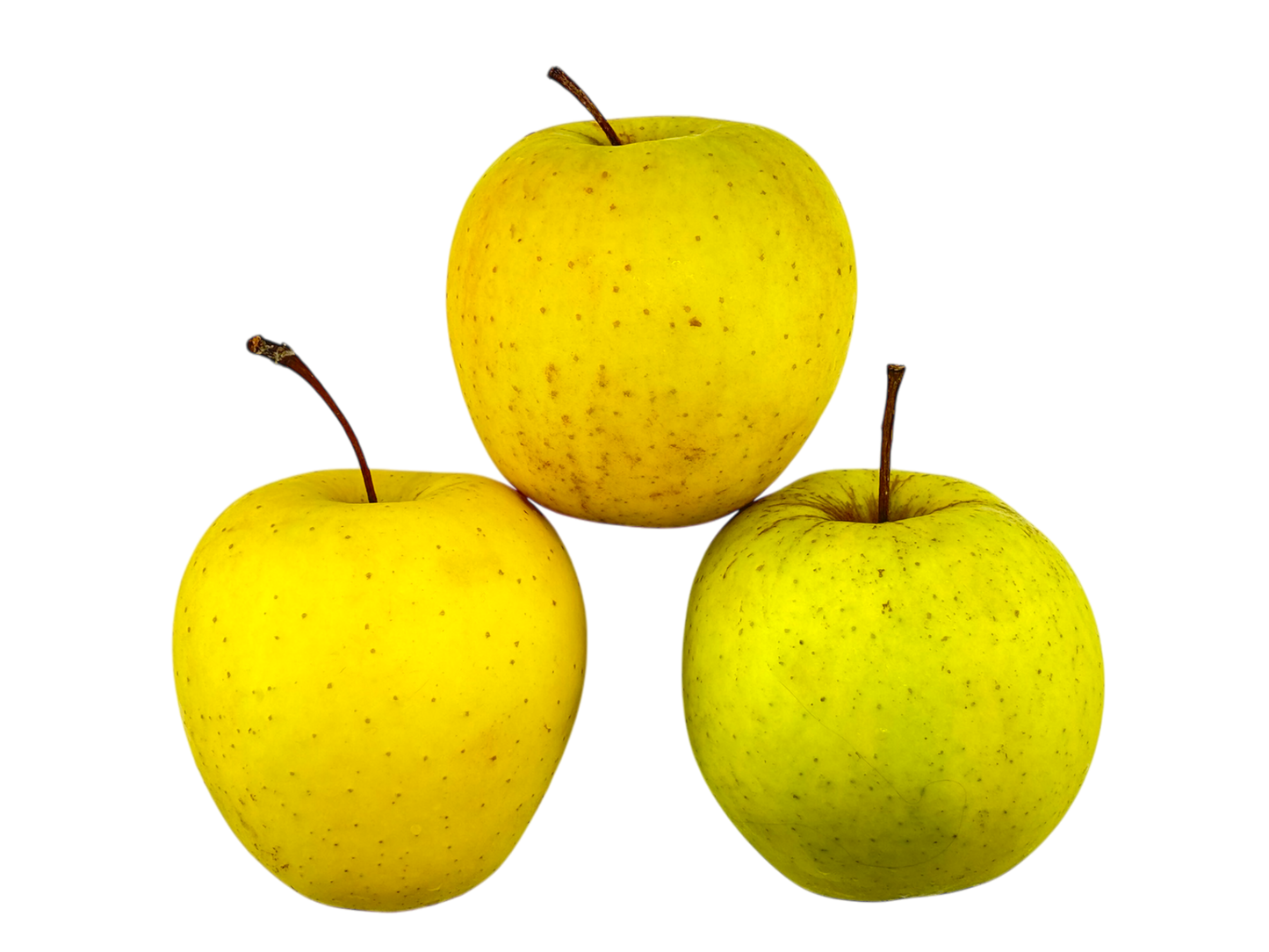 Golden Delicious Apples - Local