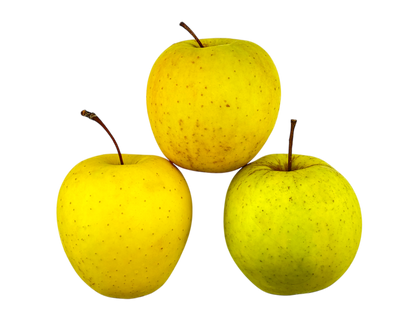 Golden Delicious Apples - Local