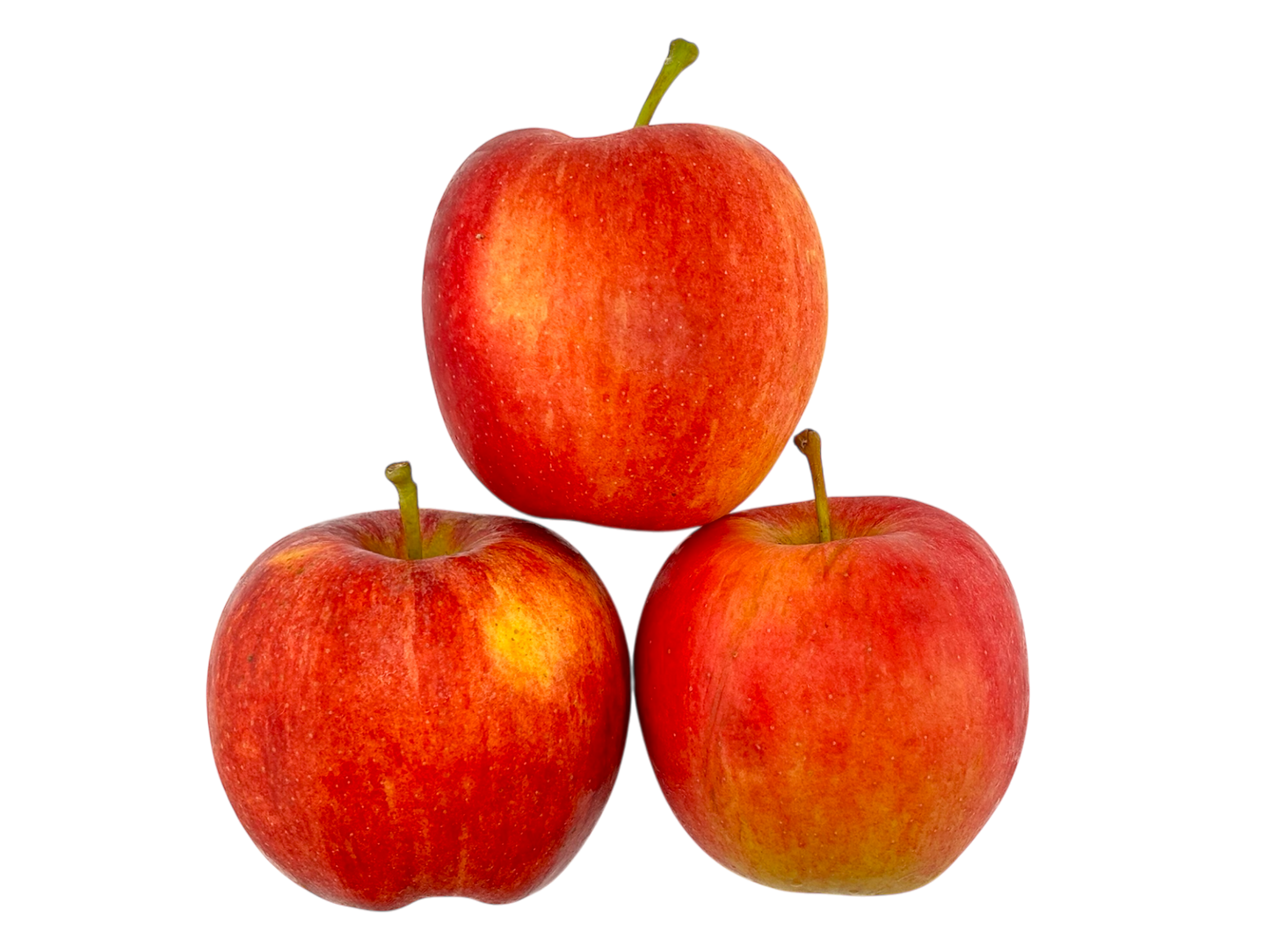 Gala Apples - Local