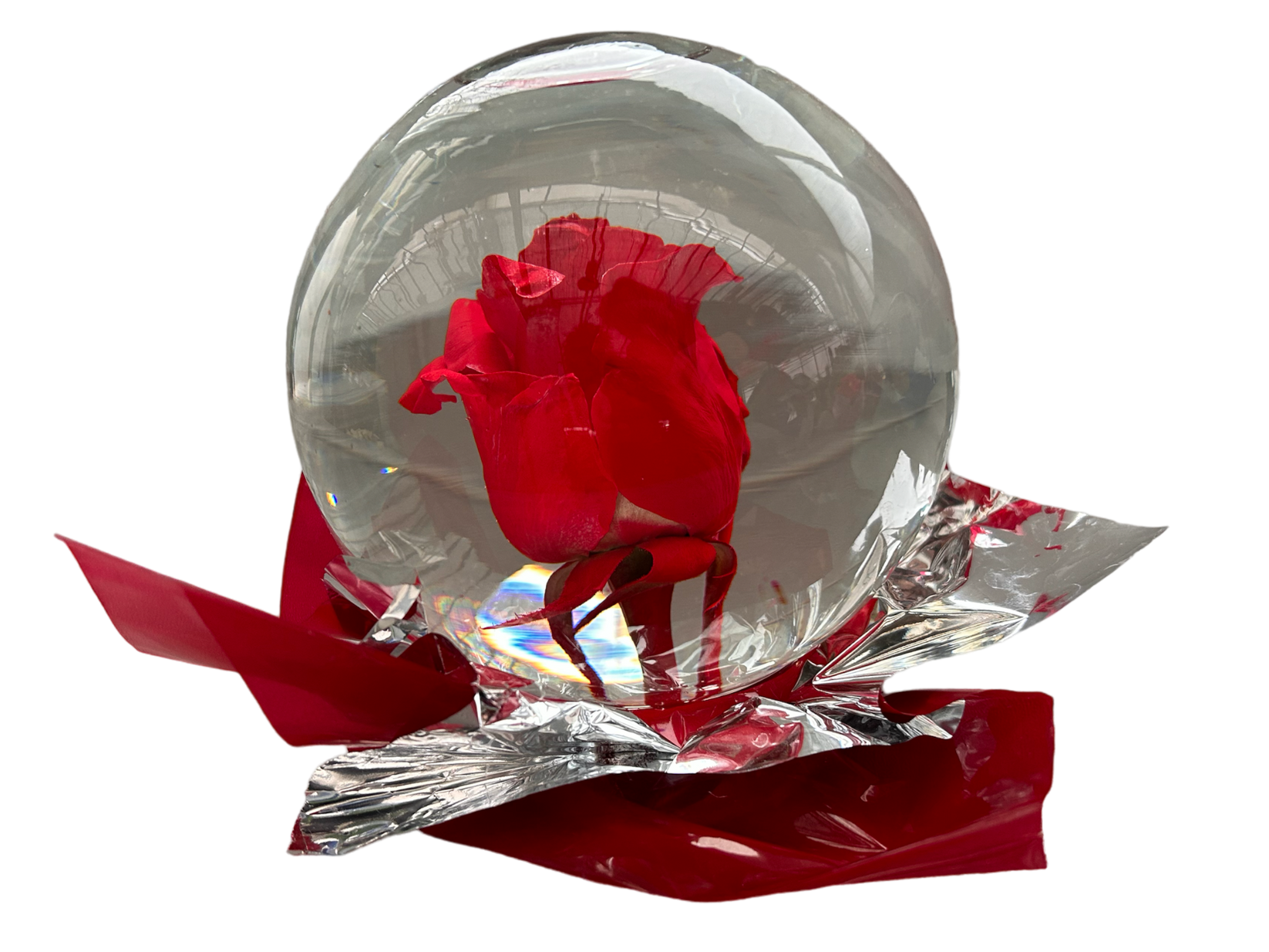 Rose Globe red rose Niagara Fresh Market