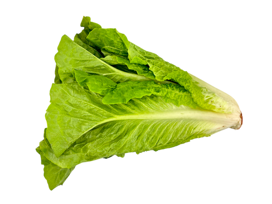 Romaine Lettuce