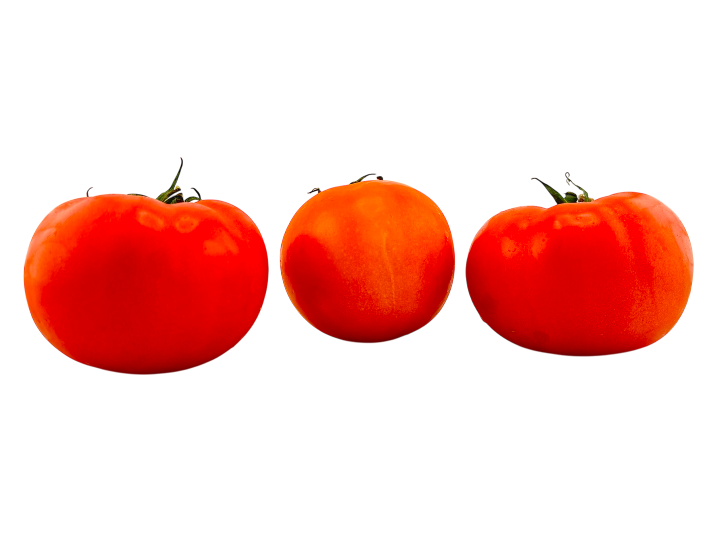 Beefsteak Tomato - Local