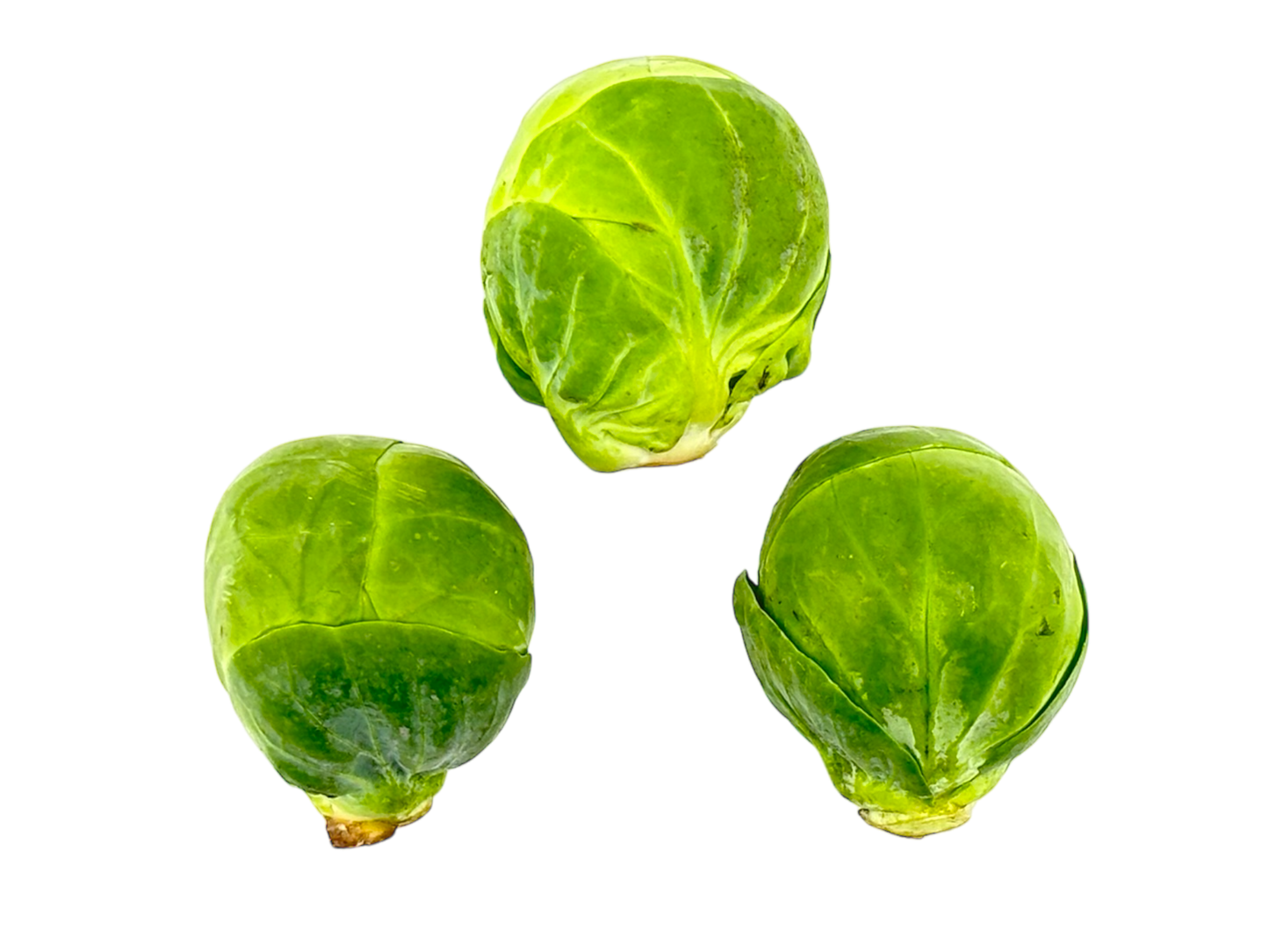 Brussel Sprouts