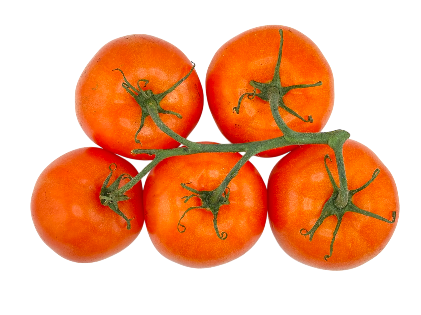 Cluster Tomato (Tomato on the Vine) - Homegrown