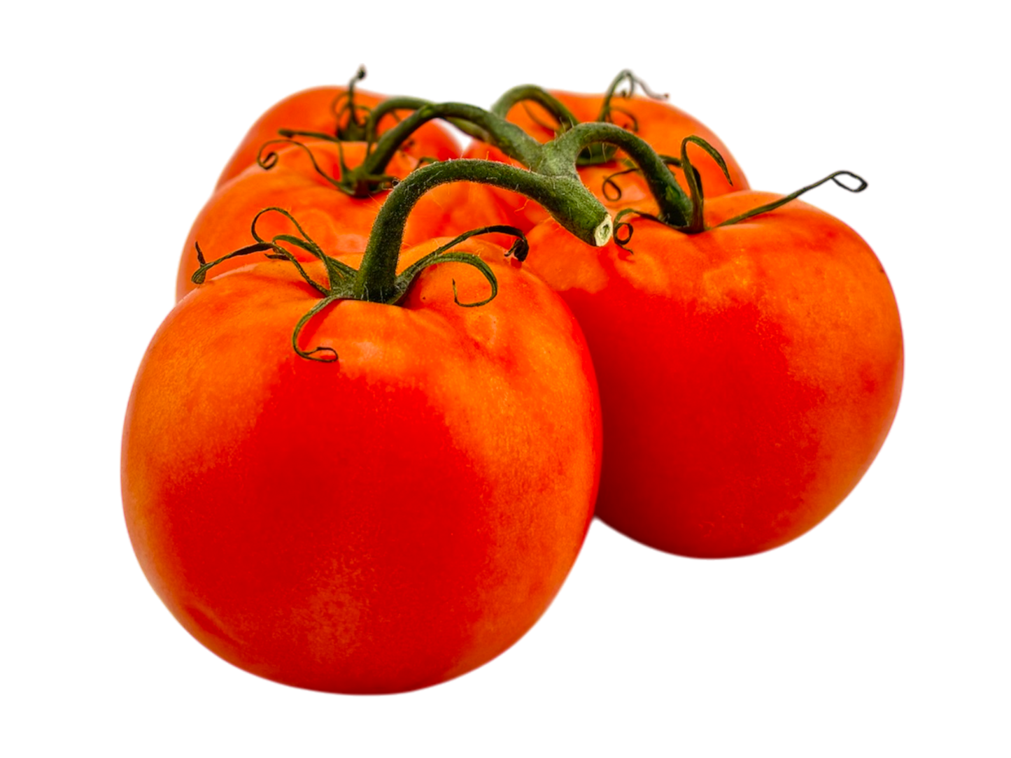 Cluster Tomato (Tomato on the Vine) - Homegrown