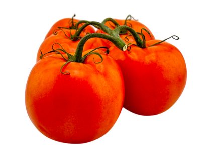 Cluster Tomato (Tomato on the Vine) - Homegrown