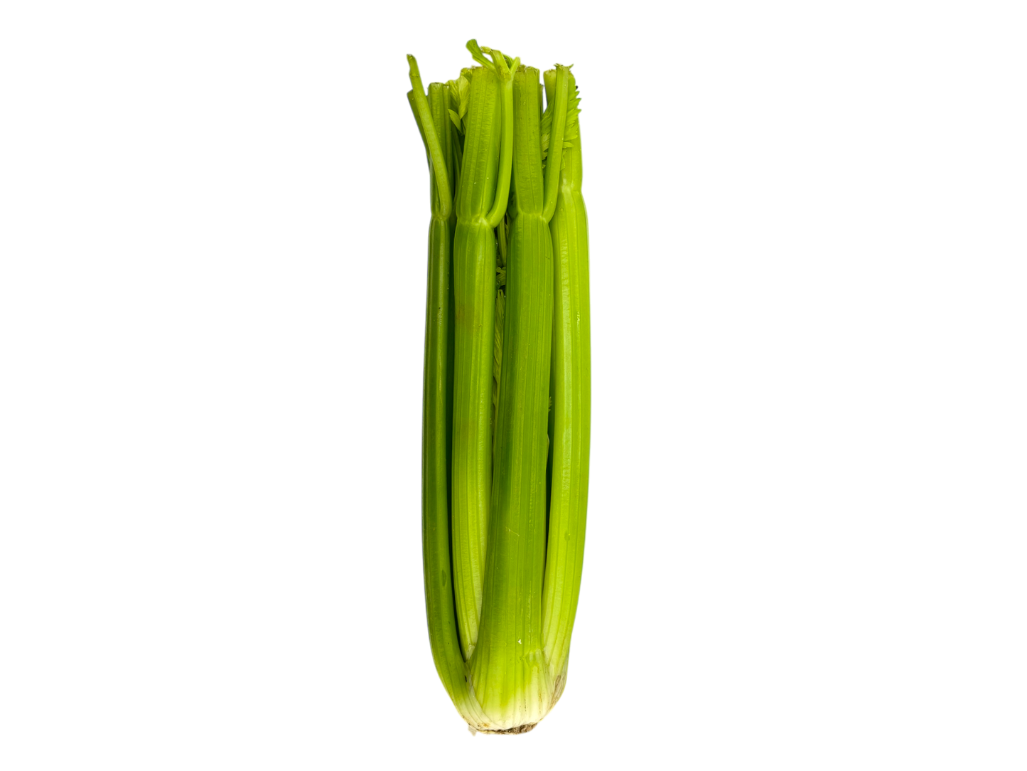 Celery