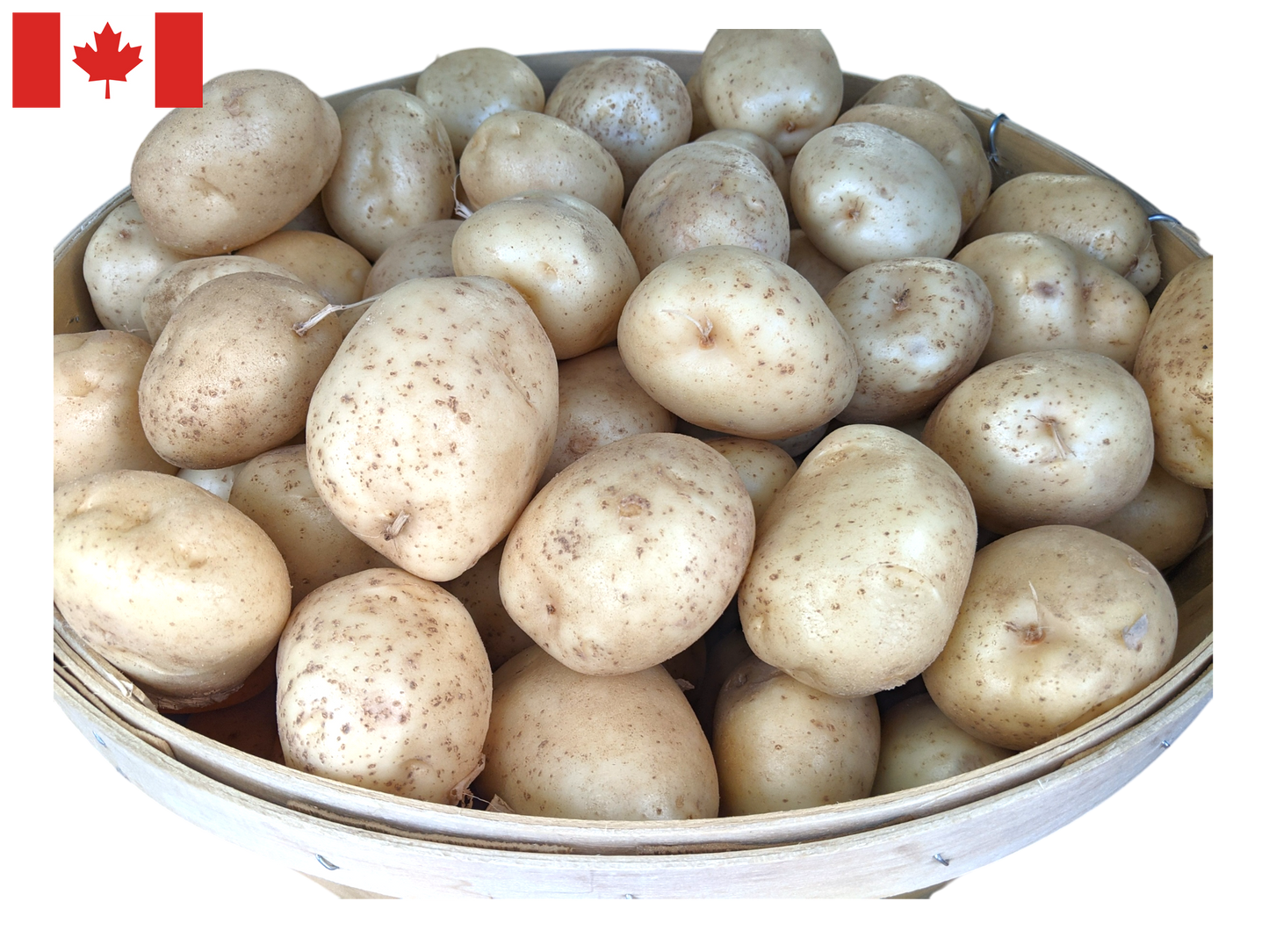 Potatoes - Canada