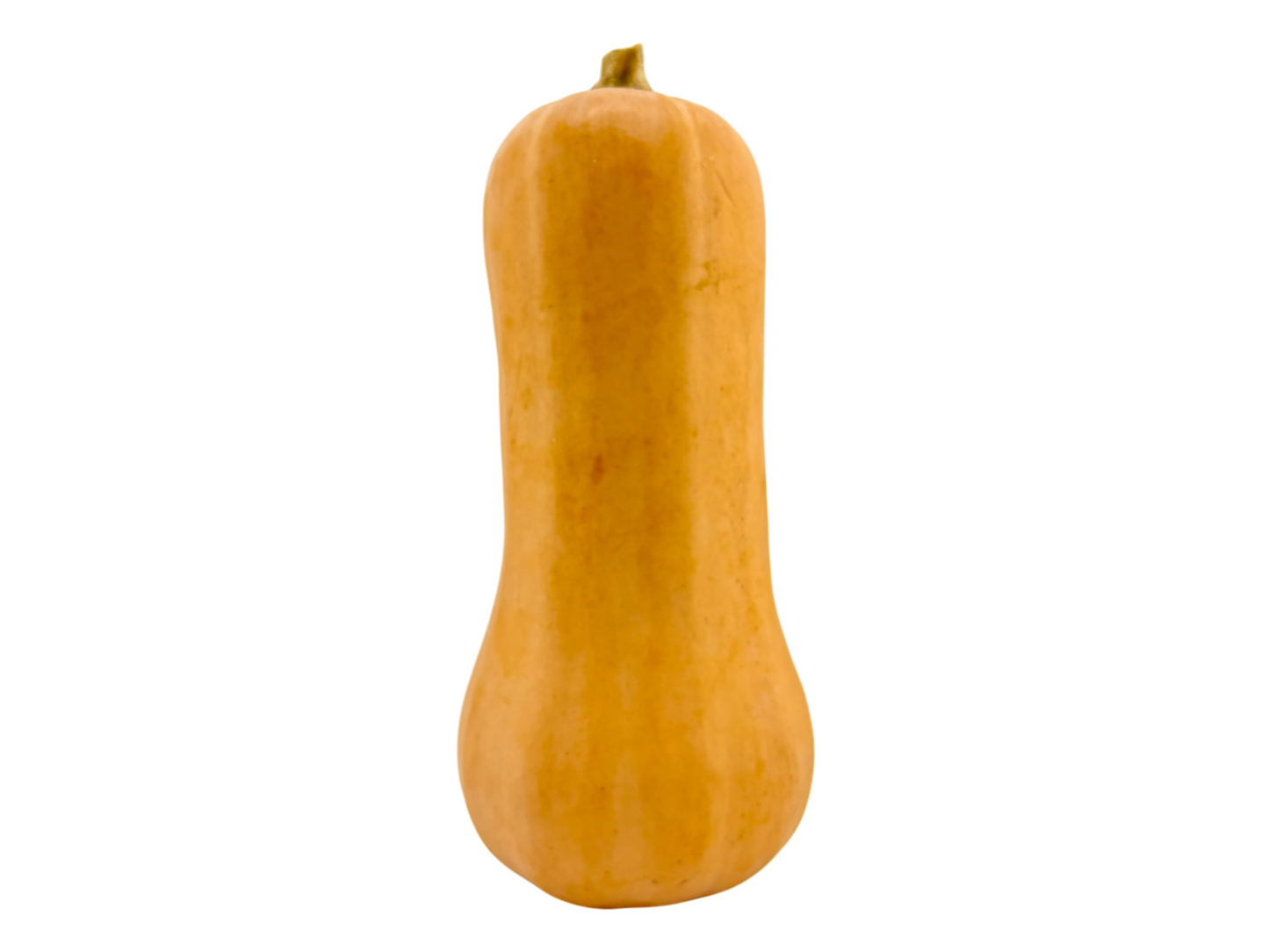 Butternut Squash