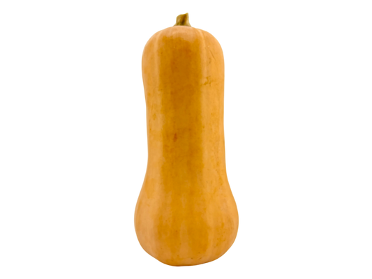 Butternut Squash