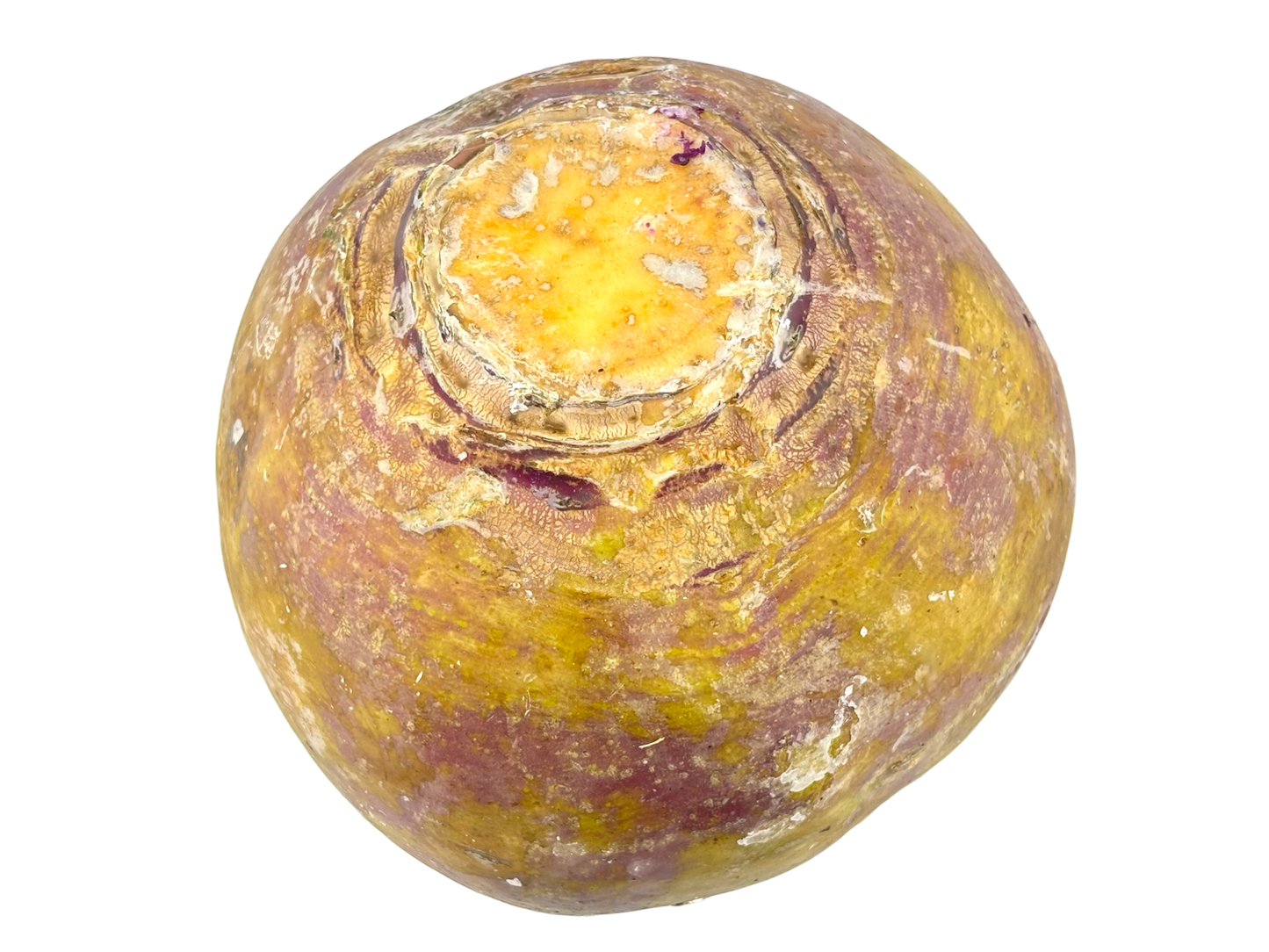 Rutabaga