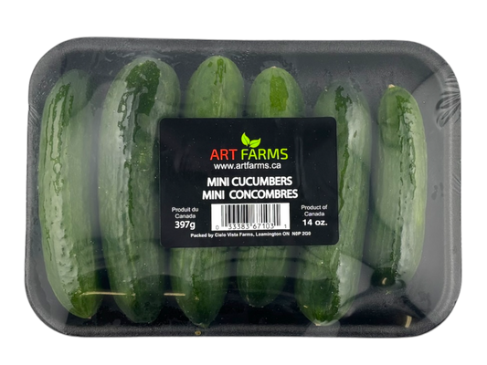 1lbs. Mini Cucumbers - Local (Homegrown)