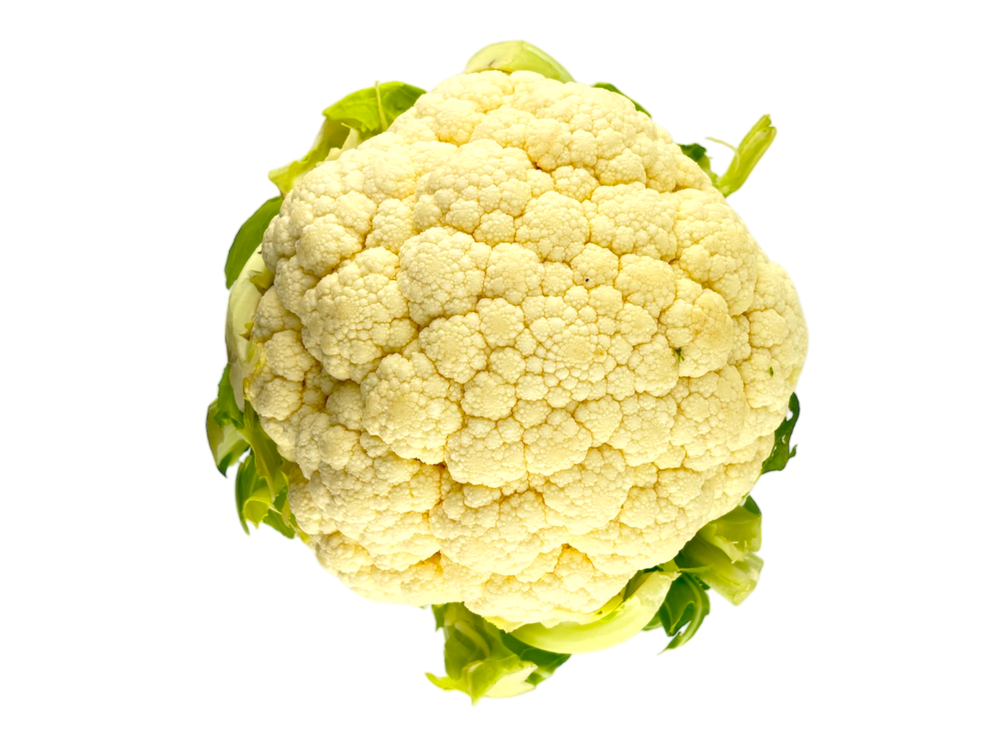 Local Cauliflower