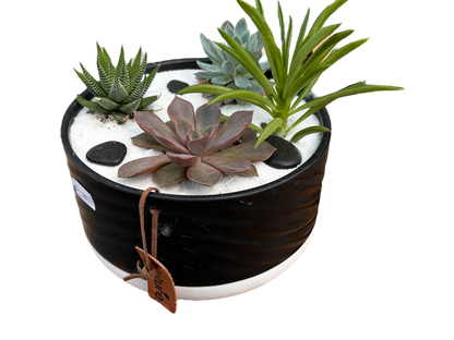 Surprise me- succulent bowls