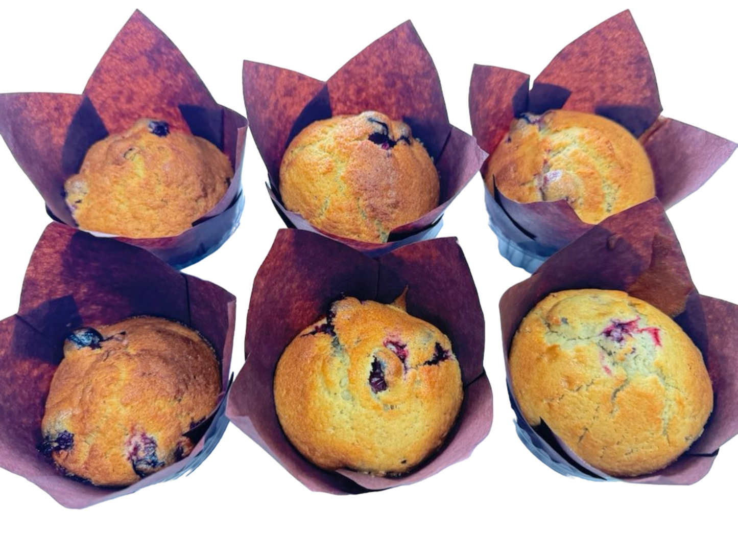 Homemade Lemon Cranberry Muffins - 6 Pack