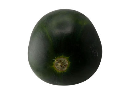 Seedless Watermelon