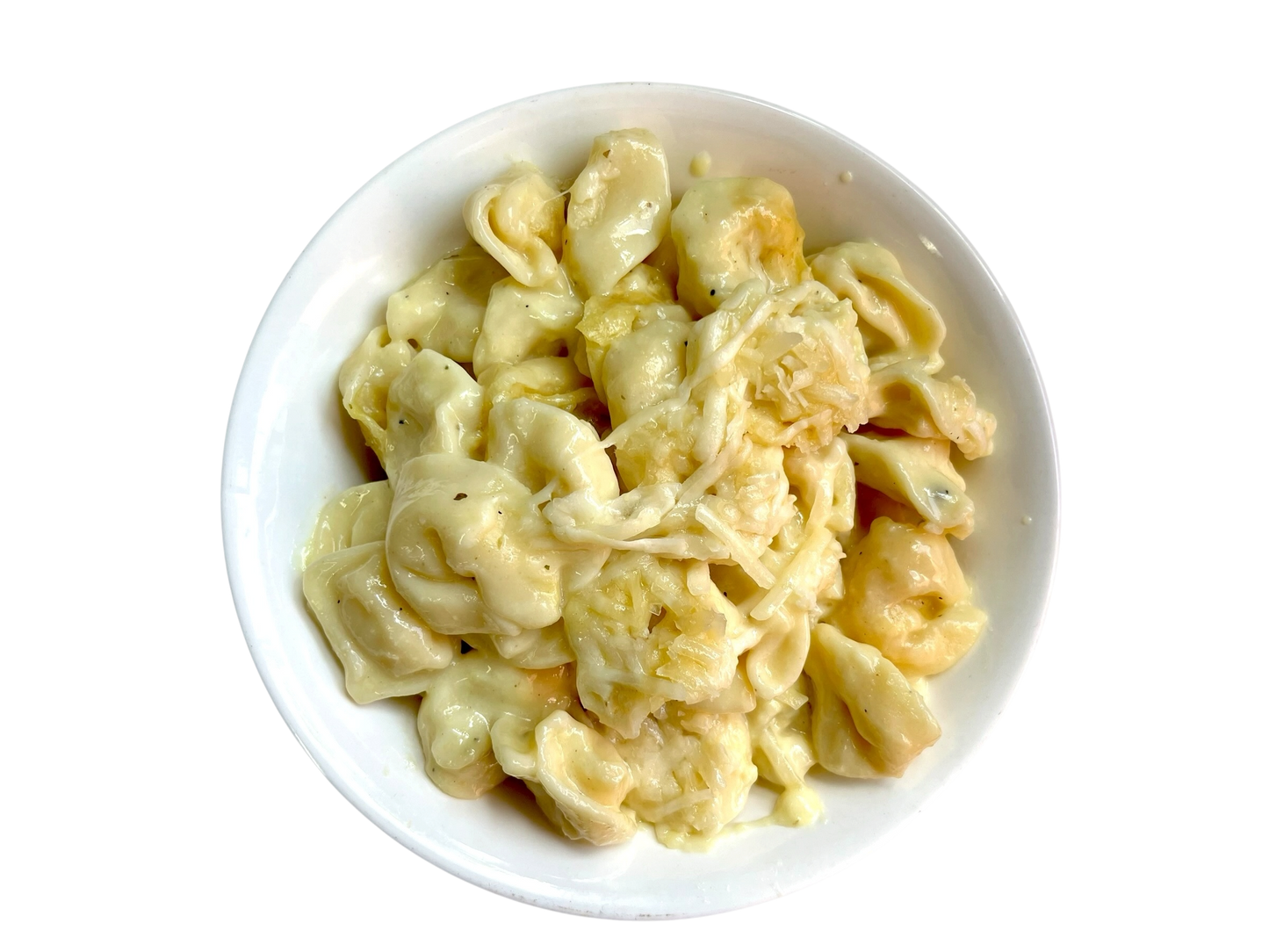 Tortellini in Alfredo Sauce