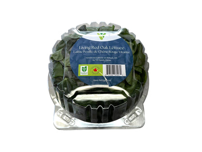 Red Boston Lettuce Clamshell - Local