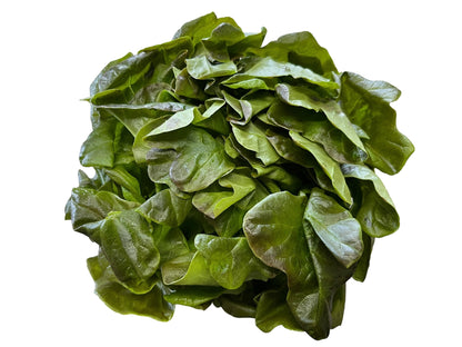 Red Boston Lettuce Clamshell - Local
