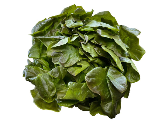 Red Boston Lettuce Clamshell - Local