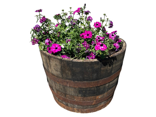 Large Half Barrel Planter with Plants