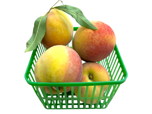 Local Peaches - Early Blush