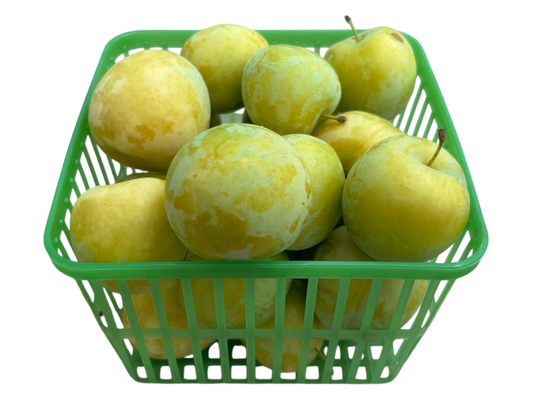 Yellow Plums - Local