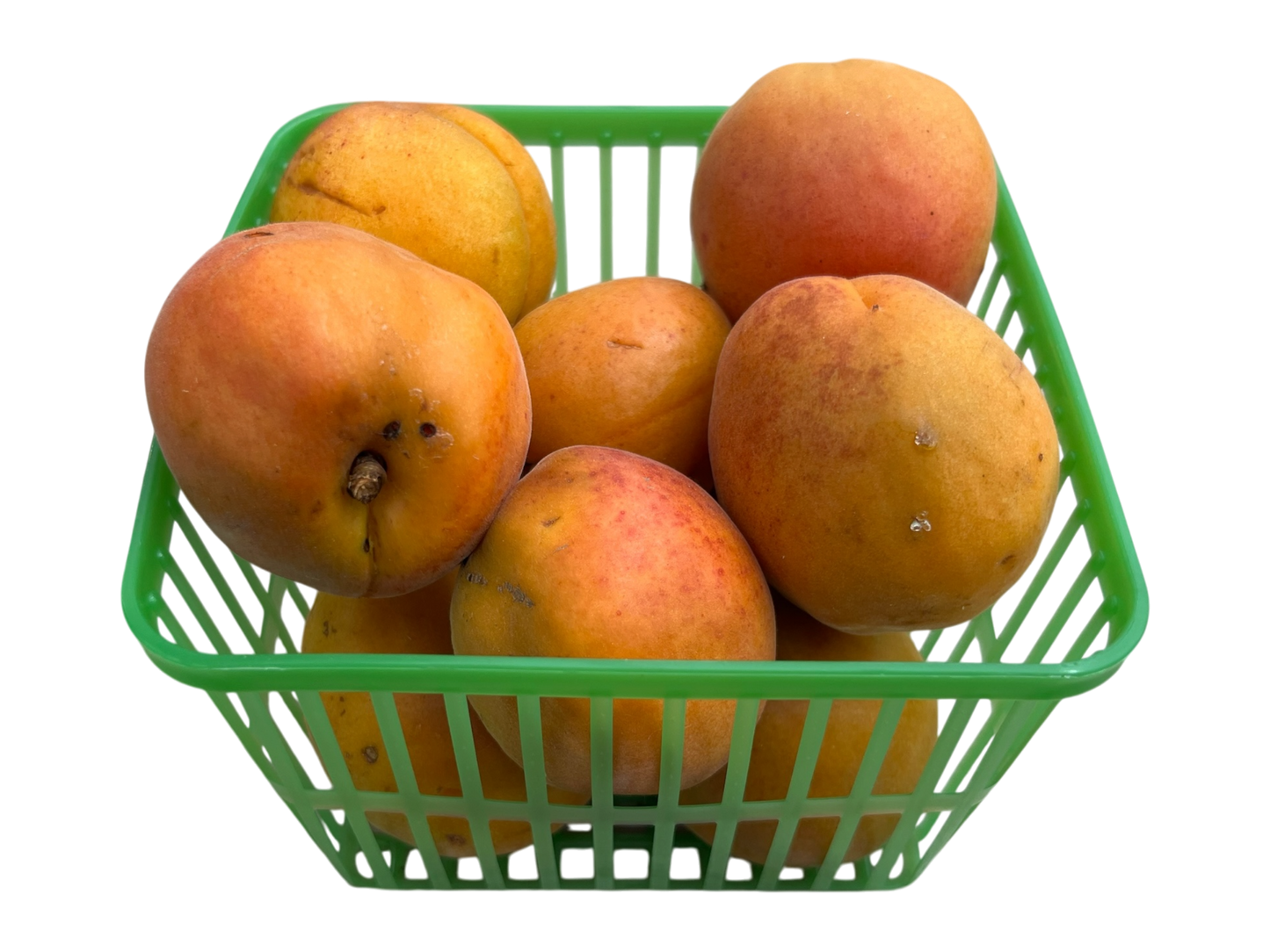 Apricots - Local