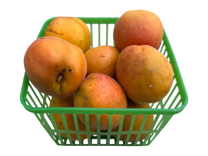 Apricots - Local