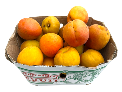 Apricots - Local