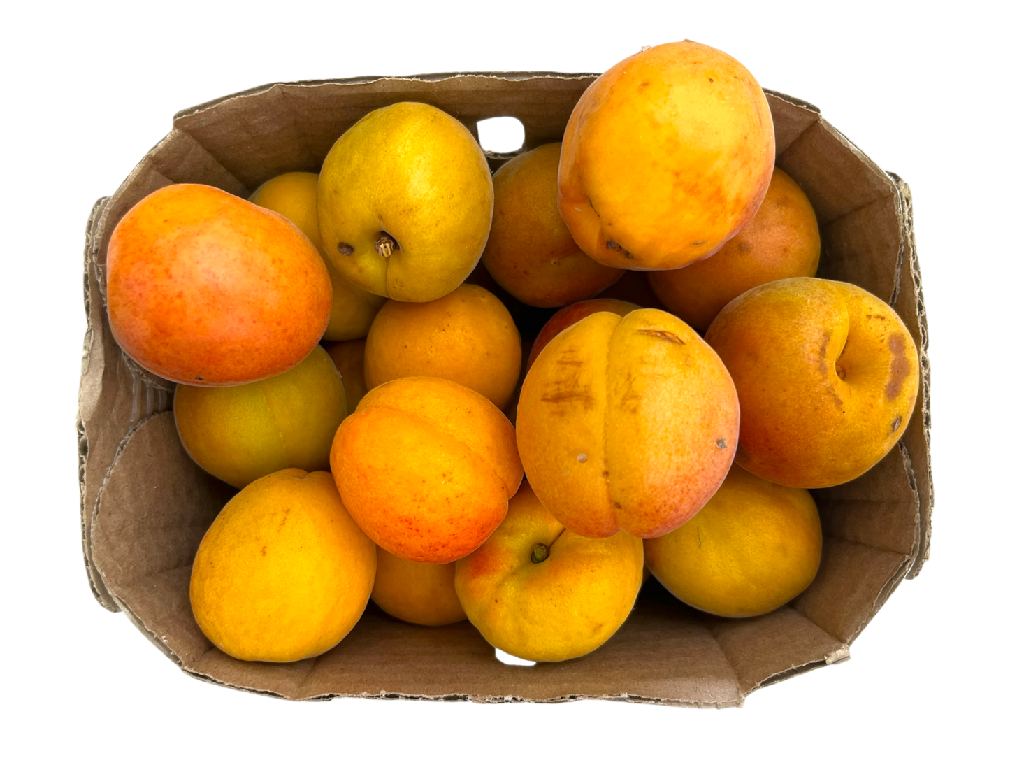 Apricots - Local