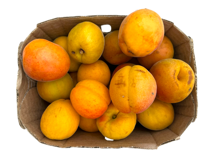 Apricots - Local