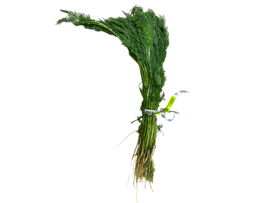Local Fresh Dillweed