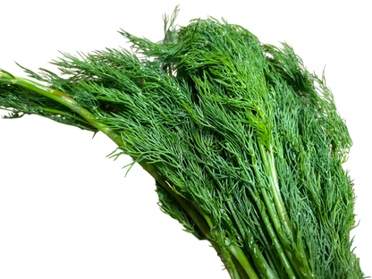 Local Fresh Dillweed