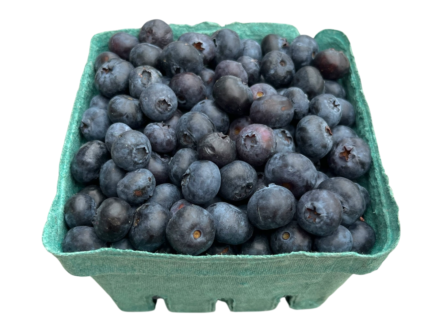 Local Blueberries