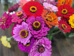Load image into Gallery viewer, Zinnia Bouquets
