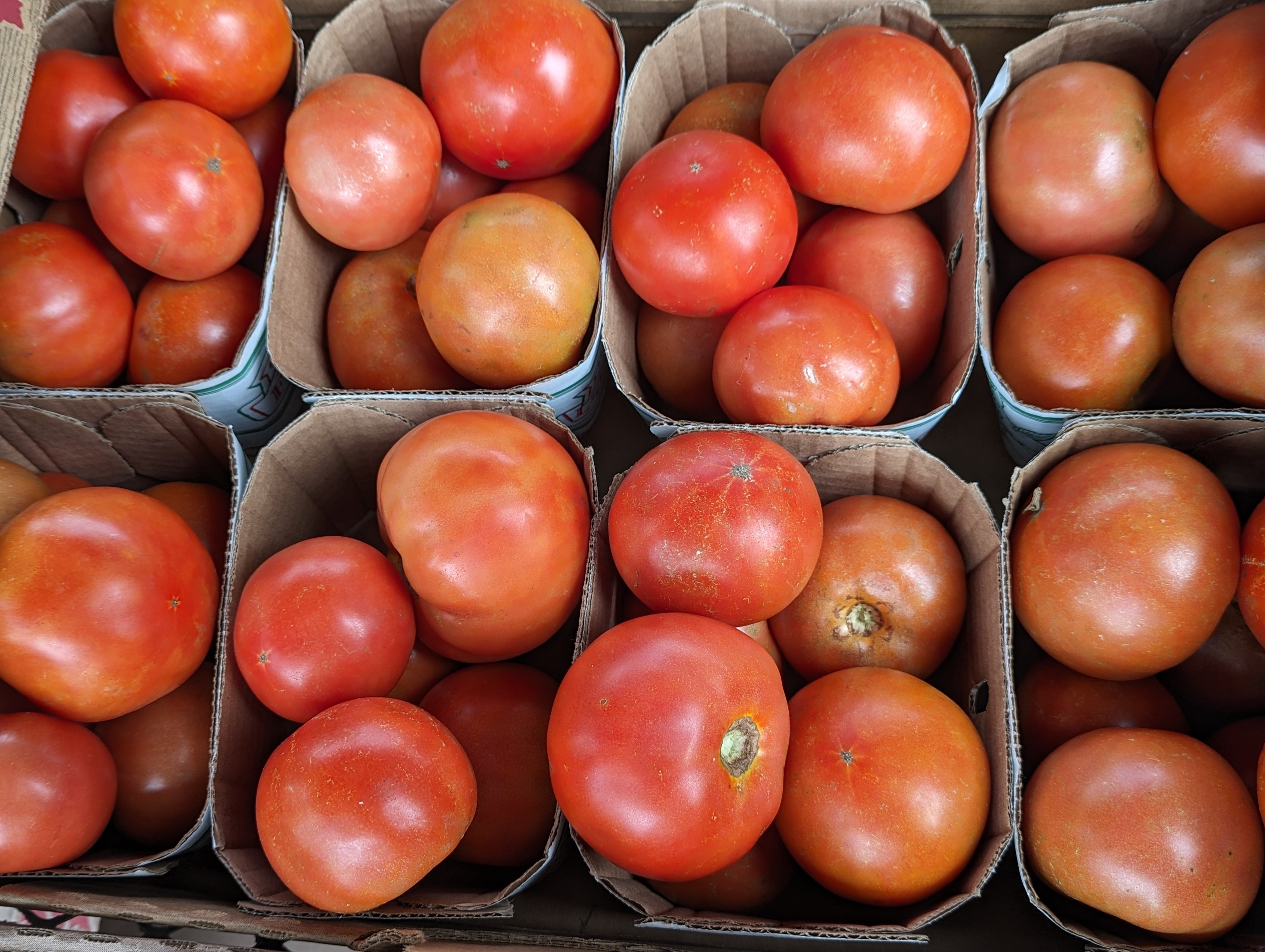 Imperfect Tomatoes