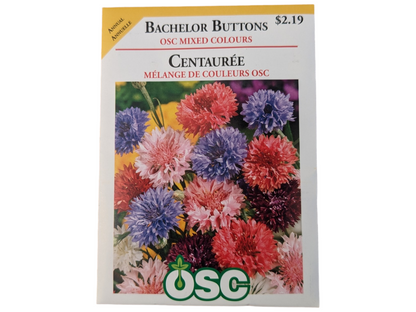 Bachelor Buttons OSC Mixed Colours