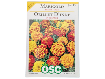 Marigold Sparky Mixed