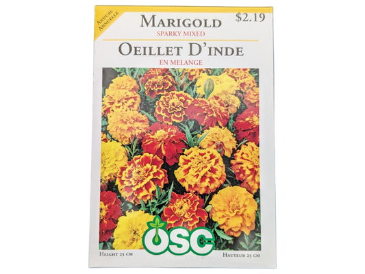 Marigold Sparky Mixed